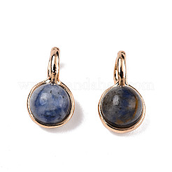 Natural Blue Spot Jasper Charms&nbsp;G-N326-141A