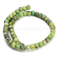 Dyed Natural White Jade Beads Strands&nbsp;GG-CBAA20A-01B-06