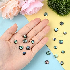 20Pcs 2 Styles Natural Paua Shell Cabochons&nbsp;SHEL-YW0001-09