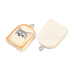 Resin Imitation Food Pendants&nbsp;RESI-D023-03