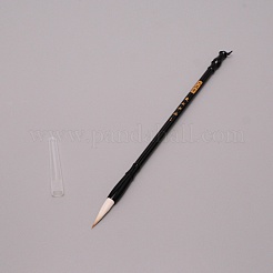 Reusable Water Writing Cloth&nbsp;AJEW-WH0251-82