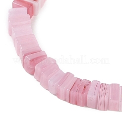 Handmade Lampwork Beads Strands&nbsp;LAMP-Q037-02B-03