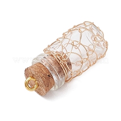 Glass Jar Glass Bottles Pendants&nbsp;PALLOY-JF03641