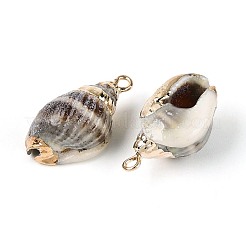 Electroplate Natural Spiral Shell Pendants&nbsp;SSHEL-N042-03