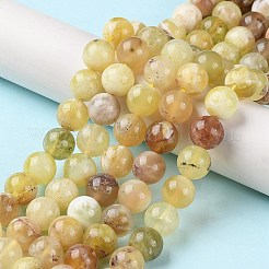 Natural Yellow Opal Beads Strands&nbsp;G-Q1001-A01-02