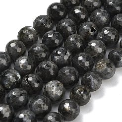 Natural Larvikite Beads Strands&nbsp;G-C280-B06-12mm