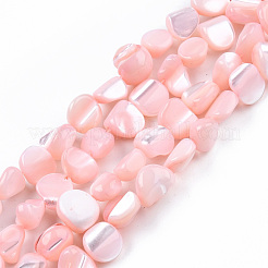 Natural Trochid Shell/Trochus Shell Beads Strands&nbsp;SSHEL-N032-49-A