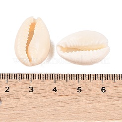 Natural Cowrie Shell Beads&nbsp;BSHE-Q296-1