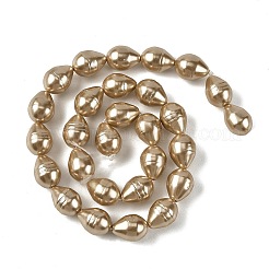 Electroplated Shell Pearl Beads Strands&nbsp;SH-CBA6AE6-01A