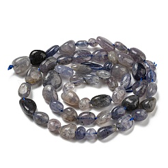 Natural Iolite Beads Strands&nbsp;G-P497-01A-13