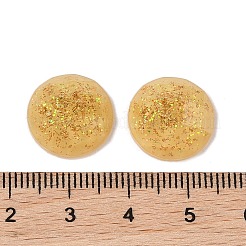 Resin Cabochons&nbsp;CRES-XCP0001-28