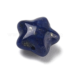 Natural Lapis Lazuli Beads&nbsp;G-T149-01F
