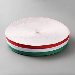Polyester Ribbon&nbsp;OCOR-WH0109-062