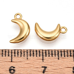 304 Stainless Steel Charms&nbsp;STAS-N109-138G