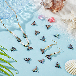 16Pcs Natural Paua Shell Whale Tail Charms&nbsp;SHEL-BC0001-045