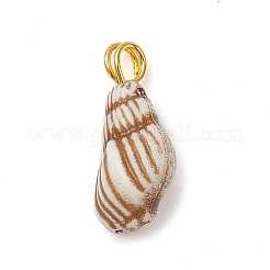 Acrylic Charms&nbsp;PALLOY-JF02589
