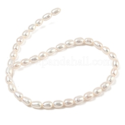 Natural Cultured Freshwater Pearl Beads Strands&nbsp;PEAR-P250307