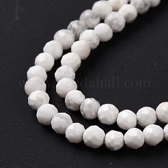 Natural Howlite Beads Strands&nbsp;G-H273-02A
