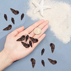 Spiral Shell Beads&nbsp;SSHEL-SC0001-07