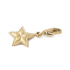 304 Stainless Steel Star Pendant Decoration&nbsp;STAS-S165-08G