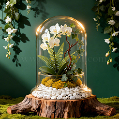 Arch Glass Dome Cover&nbsp;AJEW-WH0481-569B