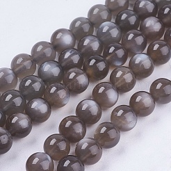 Natural Black Moonstone Beads Strands&nbsp;G-J157-12mm-05