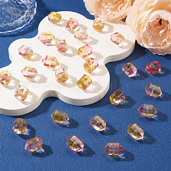 30Pcs Transparent Handmade Lampwork Beads&nbsp;LAMP-TADJ0001-12H