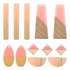 20Pcs 5 Style Resin & Wood Semi Circle Pendants&nbsp;RESI-LS0001-45