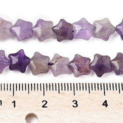 Natural Amethyst Star Beads Strands&nbsp;G-Z080-A04
