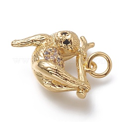 Brass Micro Pave Clear Cubic Zirconia Pendants&nbsp;ZIRC-H104-02G