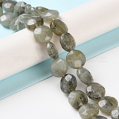 Natural Labradorite Beads Strands&nbsp;G-K357-B03-01