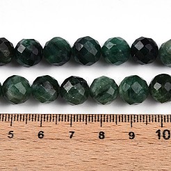 Natural Fuchsite Beads Strands&nbsp;G-S345-10mm-33