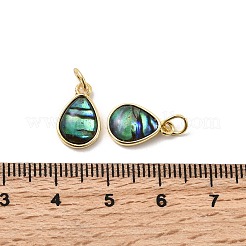 Epoxy Resin & Natural Paua Shell Teardrop Charms&nbsp;KK-K384-09G