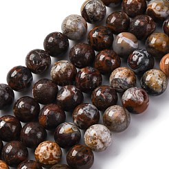 Natural Mexico Crazy Agate Beads Strands&nbsp;G-L615-A01-03