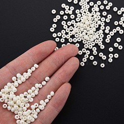 6/0 Glass Seed Beads&nbsp;SEED-T005-14-B11