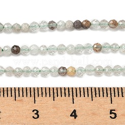 Natural Green Lodolite Quartz/Garden Quartz/Green Phantom Quartz Beads Strands&nbsp;G-G271-E01-2mm