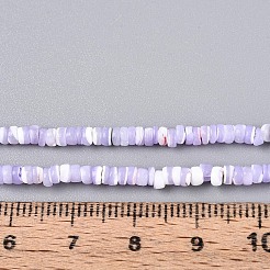 Natural Trochid Shell/Trochus Shell Beads Strands&nbsp;SSHEL-N040-21D