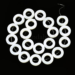 Natural Trochid Shell/Trochus Shell Beads Strands&nbsp;SSHEL-N032-24B-01