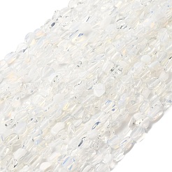 Opalite Beads Strands&nbsp;G-I389-A22
