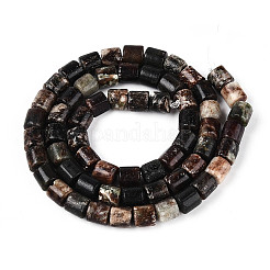Natural Biotite Beads Strands&nbsp;G-T141-88A