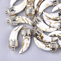 Acrylic Big Pendants&nbsp;OACR-S021-15E