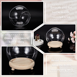 Glass Dome Cover&nbsp;AJEW-WH0401-76B