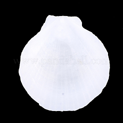 Shell Beads&nbsp;SSHEL-T005-07B