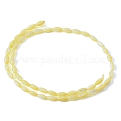 Natural Freshwater Shell Beads Strands&nbsp;SHEL-C010-01B