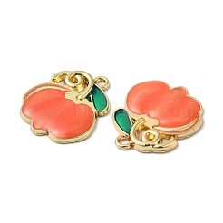 Eco-friendly Alloy Enamel Pendants&nbsp;PALLOY-M212-05G