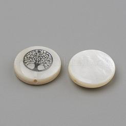 Natural Freshwater Shell Beads&nbsp;SHEL-Q011-006P