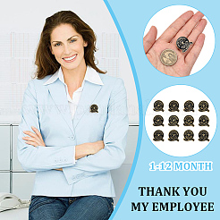 12Pcs 12 Styles Golden Tone Alloy Outstanding Employee of The Month Enamel Pins&nbsp;JEWB-CP0001-47