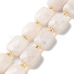 Natural Rainbow Moonstone Beads Strands&nbsp;G-H061-A12-01