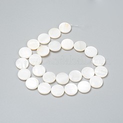 Natural Freshwater Shell Beads&nbsp;X-BSHE-I011-01B-02