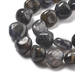 Natural Iolite Beads Strands&nbsp;G-C179-F06-01